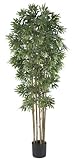 Nearly Natural 5045-NT Bamboo Japanica Silk Tree 6-Feet Natural [並行輸入品]