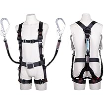 Amazon.co.jp: [藤井電工] ツヨロン フルハｰネス飛燕