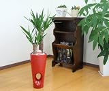緑俱良部　【観葉植物】ユッカ（青年の木）6号穴あき陶器鉢（鉢カバー製）（赤）