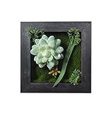 農家のスタイルの人工植物装飾品の壁の装飾、多肉植物