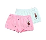 2つのセットのかわいい通気性の柔らかい赤ちゃんの女の子の下着パンティー、2-3年、ピンク＆ブルー