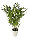 Closer to Nature Artificial 2ft 3 Green Bisset's Bamboo Tree - Artificial Silk Plant and Tree Range 