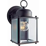 Forte Lighting 1005-01-32 Traditional 1-Light Exterior Wall Lantern, Antique Bronze Finish with Clea