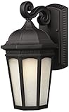 Z-Lite 508B-BK Newport Outdoor Wall Light, Aluminum Frame, Black Finish and White Seedy Shade of Gla