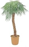 人工観葉植物 フェニックスパームツリー(ヤシの木) 高さ約170cm 10号鉢