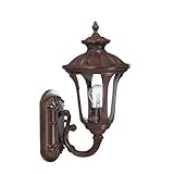 Acclaim 3841BW Augusta Collection 1-Light Wall Mount Outdoor Light Fixture, Burled Walnut [並行輸入品]