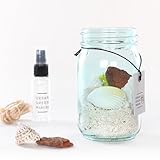 VINTAGE GLASS JAR TERRARIUM KIT 03 + AIRPLANTS MEDIUM SET　URBAN GREEN MAKERS(アーバングリーンメーカーズ)
