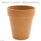イタリア製テラコッタ鉢 トールポット ２６ｃｍ ／植木鉢