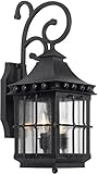 Elk 8450-E 21 by 8-Inch Taos Outdoor Wall Lantern with Seeded Glass, Espresso Finish [並行輸入品]