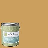 Inspired Eggshell Interior Paint, Grain .06, Gallon [並行輸入品]