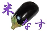 米なす（べいなす）1玉【高知県産】 [その他]