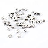 uxcell ガラス管ヒューズ　クイック高速ガラス管ヒューズブロー　電子部品　6mm x 30mm F4AL250V　30個入り