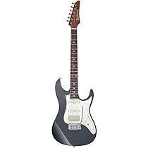 Amazon | Ibanez/Prestige AZ2204NW-GRM (Gray Metallic