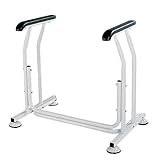 HONKO(ホンコー) トイレサポート TS-1