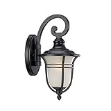 Acclaim 3652BK Montclair Collection 1-Light Wall Mount Outdoor Light Fixture, Matte Black [並行輸入品]
