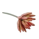 MagiDeal人工多肉植物ベルガモットLotus Foliageプラスチック植物装飾Flower Arrangementアートクラフト 10x5cm 0086000070077USA