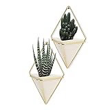 LANMUフラワーベース 壁掛け アクアリウム 小物収納可能 2組セット 菱形植木鉢+鉄製スタンド 飾り 吊り鉢 スタンド DIY多功能収納スタンド 簡約風 陶器鉢/植木鉢/多肉植物/サボテン鉢/花鉢