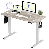 FLEXISPOT EF1 電動式スタンディングデスク 幅120x奥行60cm メモリー機能 昇降 パソコン ゲーミング