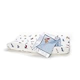 FAO Schwarz Toy Box Changing Pad Cover by FAO Schwarz [並行輸入品]