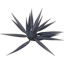 Amazon.co.jp: Coike Fish M Elastomer(#116シニカケギル)コイケ