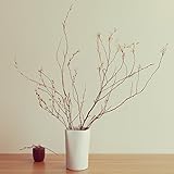 plage 優美な曲線を描くデザインとハンドメイドのテクスチャが魅力。・陶器 花瓶