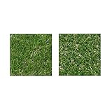 SINAPP 人工芝ロール サンプルセット 芝丈 20mm 30mm SIK2331 グリーン