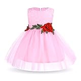 新生児の幼児の女の子のちょう結びローズ花姫のドレスパーティードレスのフェアリーメッシュスカート (110)