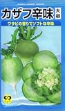 【種子】大根　カザフ辛味大根　5g