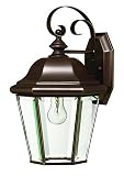 Hinkley 2423CB Outdoor Clifton Park Light [並行輸入品]