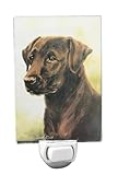 チョコレートLab Labrador Dog Night Light – Best Friends by Ruth Maystead ( rla-10nl )