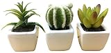光触媒 多肉植物 観葉植物 インテリアグリーン 造花 3点セット MP-101