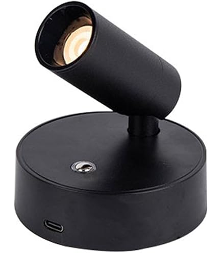 Amazon | DAIKO スポットライト(LED24W・電球色) リモコン付き DXL