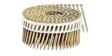 Fasco SCMP13813FSTEG Scrail Fastener Steel Thread 15-Degree Plastic Sheet Coil Electro-Galvanized St