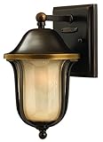 Hinkley 2636OB Outdoor Bolla Light by Hinkley