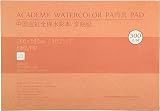 MEEDEN 水彩画紙 100%コットン 300g 16K(260x180mm) 20枚 細目 無酸 プロ仕様 大人、アーティスト、学生向け