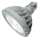 GE 67925 Par30 Flood LED Light Bulb [並行輸入品]