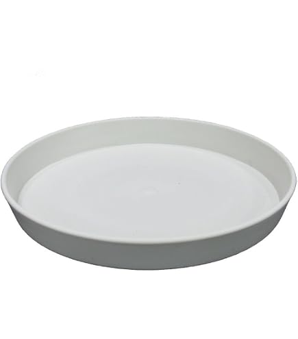 Amazon.co.jp: SANKO PRODUCT IS皿4号 シンプルデザイン プラスチック