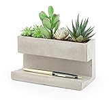 Concrete Desktop Planter コンクリートデスクトッププランター (L)