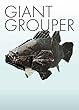 GIANT GROUPER (折紙創作集団スクエア)