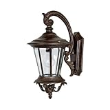 Capital Lighting 9751TS Outdoor Wall Fixture with Clear Glass Shades, Tortoise Finish [並行輸入品]