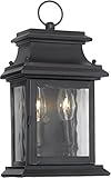 Elk 5726-C 7 by 14-Inch Provincial Water Glass 2-Light Outdoor Wall Lantern, Charcoal Finish [並行輸入品]