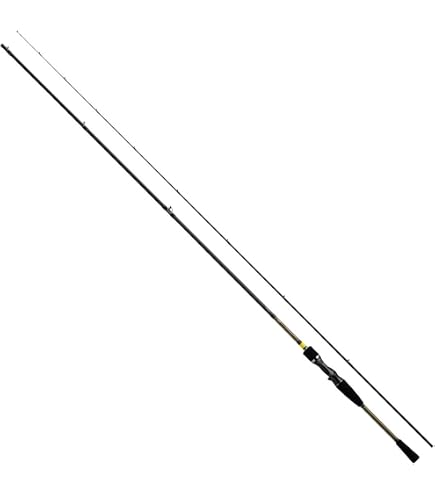 Amazon | ダイワ(DAIWA) アユイングロッド AYUING X 99HS-S | Daiwa | 鮎竿