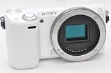 NEX-5R ホワイト ボディ