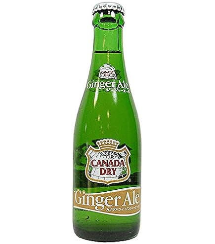 Amazon.co.jp: 業務用コカコーラ カナダドライ ジンジャーエール