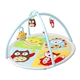 プレーマット　ファンスケープアクティビティジム　アクティビティマット　スキップホップ　お遊びマット　おもちゃ　マット　ベビー用品　出産祝い　ギフト (プレーマット)