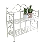 COVENT GARDEN ブラン・パフュームラック・ワイド KX-02