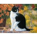 DIY Oil Painting By Numbers Cat Drawing On Canvas Home Office Wall Decor Artwork