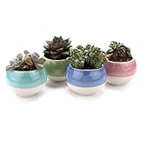 T4U 7.5CM ボール型セット 多肉植物、サボテン鉢 フラワーポット プランター容器 4個セット