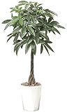 tree/ 光触媒 造花 観葉植物 インテリア・グリーン　パキラ 125cm　編込みデザイン