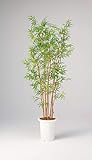 LION 人工植物　GB-216 品番57673